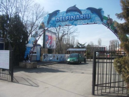 Ziua Mondială a Apei, sărbătorită la Complexul Muzeal de Ştiinţe ale Naturii